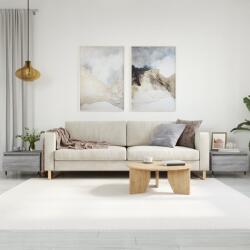 vidaXL 2 db szürke sonoma szerelt fa dohányzóasztal 50 x 46 x 35 cm (830857)