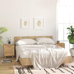 vidaXL 2 db barna tömör fenyőfa és természetes rattan éjjeliszekrény (345611)