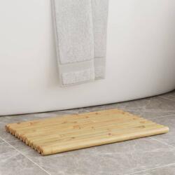vidaXL 2 db bambusz fürdőszőnyeg 50 x 35 cm (366456)