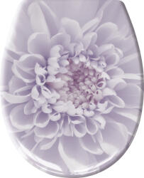 Kleine Wolke Dahlia wc ülőke lecsapodás-gátlós fehér 1866851075
