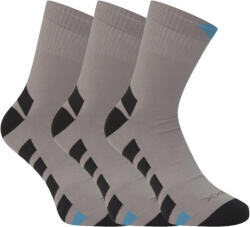 VoXX 3PACK șosete VoXX gri (Gastl) M (163418)