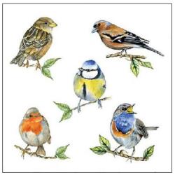 Ambiente Madaras szalvéta - 25x25 cm - Bird Species (VR-12518135)