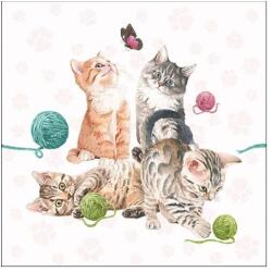 Ambiente Cicás szalvéta - Playing Kitten - 25x 25 cm (VR-12515980)