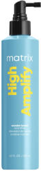 Matrix Total Results High Amplify Wonder Boost Root Lifter hajtőemelő, 250 ml - hajpatika