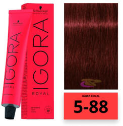 Schwarzkopf Igora Royal hajfesték 5-88 - hajpatika