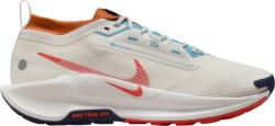 Nike Pegasus Trail 5 GORE-TEX Terepfutó cipők fq0908-003 Méret 45, 5 EU Férfi futócipő