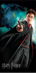 Warner Bros. Interactive Harry Potter fürdőlepedő, strandtörölköző 70x140 cm Nr1