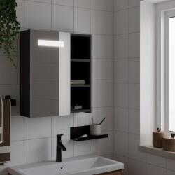 vidaXL fekete tükrös fürdőszobaszekrény LED-del 45 x 13 x 52 cm (357967)