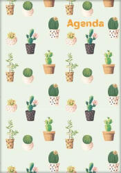 Dayliner Naptár, tervező, A5, heti, DAYLINER, "Colors", Cactus (DL5AG-COFA5HE-CC) - iroszer24