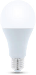 Forever LED Light E27 A65 15W 230V 6000K 1470lm