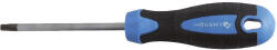 Högert Technik TORX csavarhúzó hatszögű, T15, S2 acél, 100 mm HT1S054 (HT1S054)
