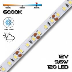 PannonLED LEDSZALAG 2835WN 120led/m IP65 6000K 600lm 9, 6W/m hideg fehér 70212 szilikon (70212)