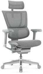 Antares MIRUS II Elite ergonomikus irodai szék, szürke váz, színes háló