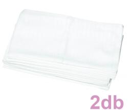 Baby Bruin Textilpelenka Cseh fehér 70 * 70 cm (2 db/cs)
