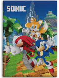  Sonic a sündisznó Speedy Dreams polár takaró 100x140cm