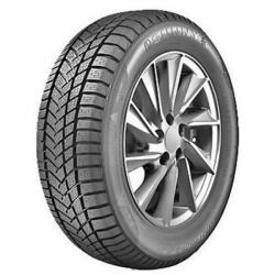 Sunny NW211 XL 255/35 R19 96V