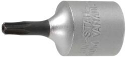 SW-Stahl IP/4-T30 Csavarhúzó-fej, T30