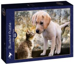 Bluebird Puzzle 500 db-os puzzle - Kitten and Puppy (90335)