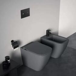 Ideal Standard Bideu stativ BTW, cu fixare complet ascunsa, gri lucios, Ideal Standard i. Life B T461758 T461758 (T461758)