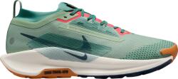 Nike Pegasus Trail 5 GORE-TEX Terepfutó cipők fq0908-300 Méret 42, 5 EU