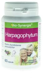 Bio-Synergie Harpagophytum Bio Synergie 60cps
