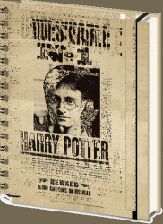 Pyramid International Harry Potter 3D jegyzetfüzet - Sirius Black & Harry Potter