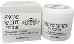 Secret Key Cremă de față - Secret Key Snow White Cream 50 g