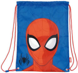Arditex Spider-Man Web Weaver (ADX16423SM)