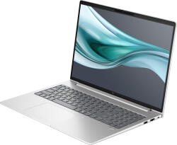 HP EliteBook 660 G11 9C0G9EA Notebook