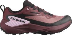 Salomon Pantofi trail Salomon GENESIS GTX W l47588900 Marime 37, 3 EU (l47588900)