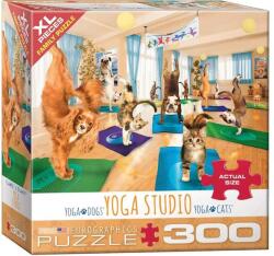 EUROGRAPHICS 300 db-os XL puzzle - Yoga Studio (8300-5453) (8300-5453)