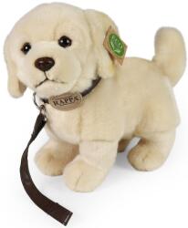 Rappa Jucărie de pluș Rappa Eco prietenii - Golden Retriever, 25 cm (231009)