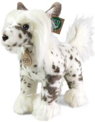 Rappa Jucărie de pluș Rappa Eco prietenii - Câine chinezesc cu creastă, 25 cm (230798)