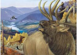 EUROGRAPHICS 6000-5872 - King of the Valley by Hayden Lambson - 1000 db-os puzzle (6000-5872)