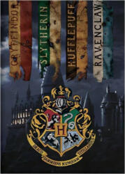 Warner Bros. Interactive Harry Potter polár takaró, pléd 100x140 cm Nr3