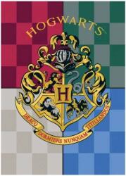 Warner Bros. Interactive Harry Potter polár takaró, pléd 100x140 cm Nr2
