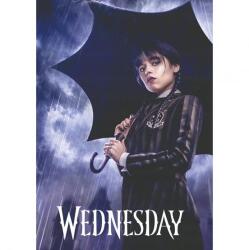 Astra Wednesday A/4 gumis mappa (108024011) (108024011)