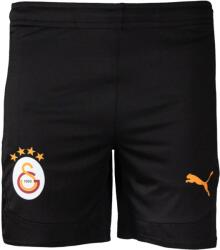 PUMA Sorturi Puma GSK Training Shorts 779689-03 Marime M (779689-03)