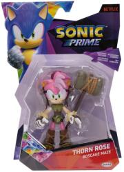 Sonic the Hedgehog Figurina articulata, Sonic the Hedgehog, S1, Thorn Rose, 13 cm Figurina