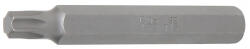BGS technic Technic Behajtófej Hossz 75 mm Külső hatszögletű 10 mm (3/8") T-profil (Torx) T45 (BGS-4573) (BGS-4573)