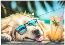 Panta Plast Mapă personalizată cu buton, A4, PP, Panta Plast, Chillout Dog