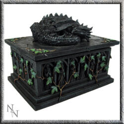 NNM cutie (decorativă) Dragon Tarot Card - NOW102