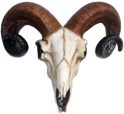 NNM dekoráció Rams Skull Medium - D1250D5