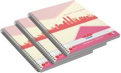 Herlitz Caiet cu spira A5, 70 file, dictando, Economic, 5 buc/set Herlitz PCKHZ9484680 (PCK9484680)