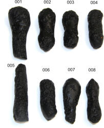 Tectita Philipine Naturala Bruta - Sticla de Contact Meteorit 55-80 x 19-31 x 17-26 mm - ( XXL ) - 1 Buc