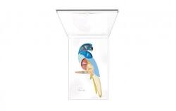 PUPA Parrot Eye make-up set - комплект грим за очи № 003