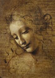 Bluebird Puzzle - Puzzle Leonardo da Vinci: La Scapigliata, 1506-1508 - 1 000 piese Puzzle