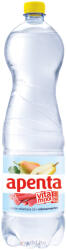 Apenta Vitamix Körte 1, 5L Ízesített Ásványvíz (DRS)*