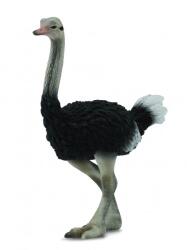 CollectA Figurina Strut L Collecta (COL88459L) - ookee Figurina