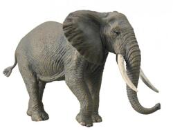 CollectA Figurina pictata manual Elefant African 88966 (COL88966XL) Figurina